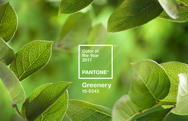 pantone-color-ano-2017-verde-greenery